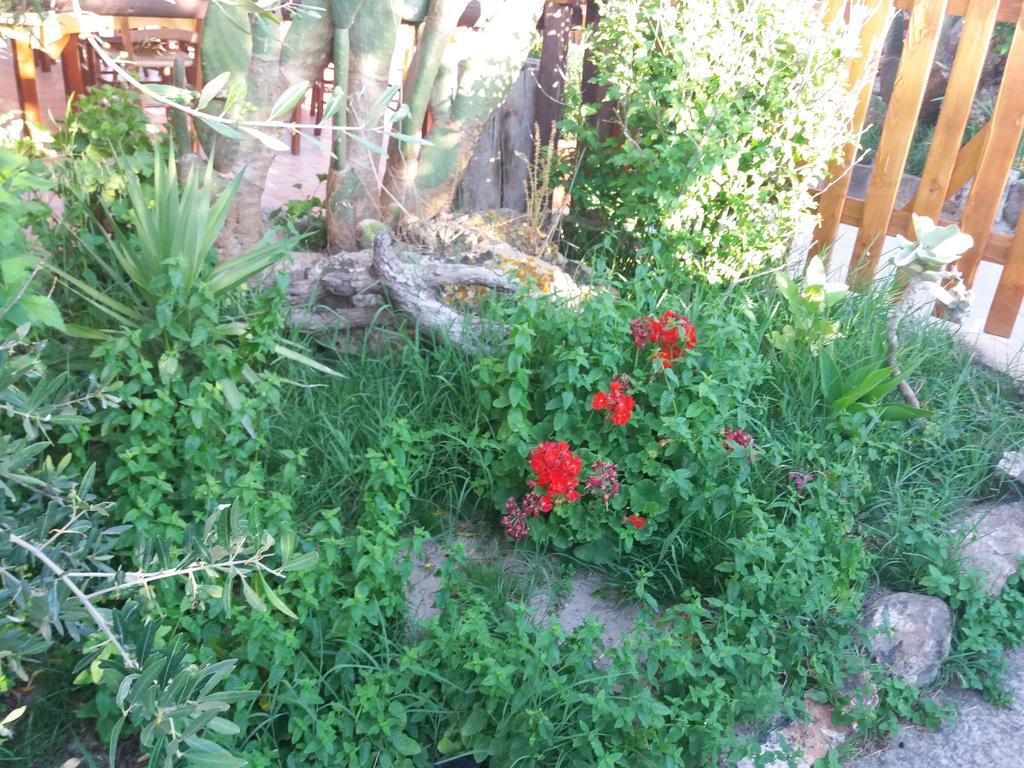 S'Arriali Ranch Konuk evi Iglesias Dış mekan fotoğraf